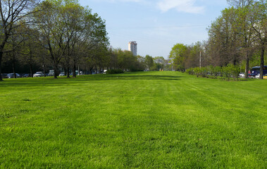 Fototapeta na wymiar green lawn between two roads in the city. Boulevard