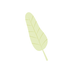 ginger leaf icon, flat style