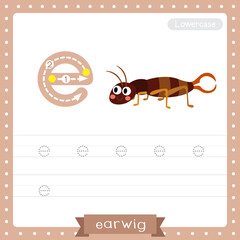 Letter E lowercase tracing practice worksheet. Crawling Earwig insect