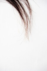 Naklejka premium hair tuft on white background with copy space 