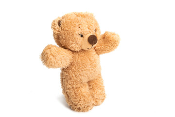 soft toy bear isolated