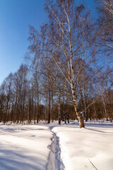 snow road in cold winter