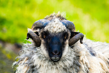 Faroe Island, Kingdom of Denmark