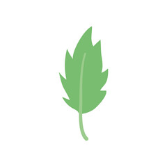 holly tropical leaf icon, flat style