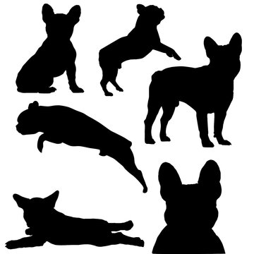 French bulldog silhouette