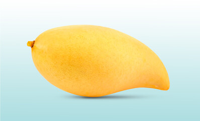 yellow mango on blue background