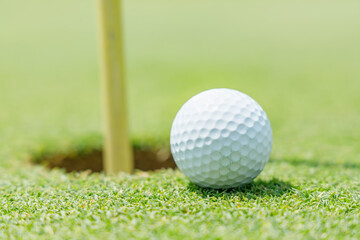 新緑が綺麗なゴルフ場のグリーン