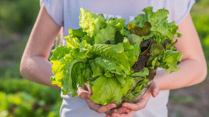 The child holds lettuce, stands against the background of the house bed