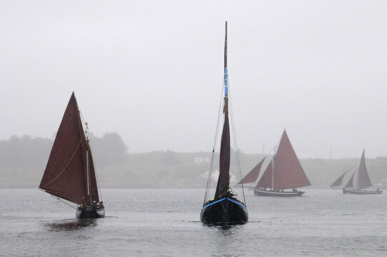Régate de bateaux à voile "Galway Hookers" sur la côte ouest de l'Irlande, par temps pluvieux et brumeux.