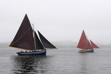 Régate de bateaux à voile "Galway Hookers" sur la côte ouest de l'Irlande, par temps pluvieux et brumeux.