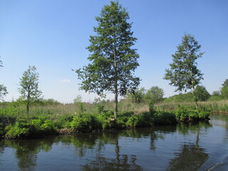 Havel am Wasser