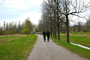 Obraz premium walk in the woods