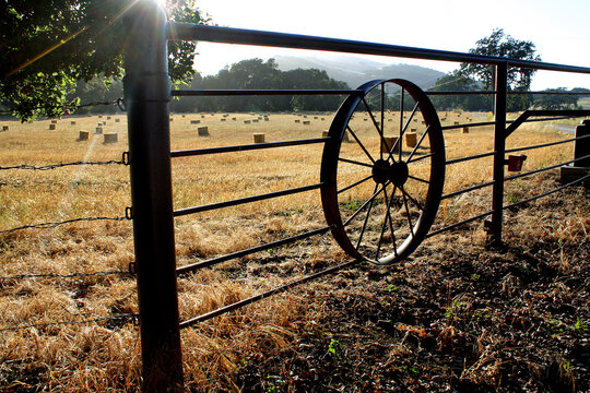 Metal wagon wheel i part of a farm fence around a golden field