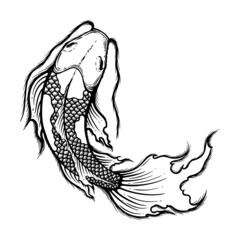 Hand drawn outline Koi fish vector illustration, tattoo design, japan style, line art ink work, animal wildlife.