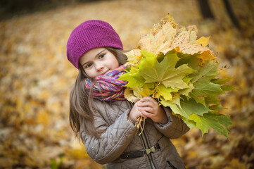 Little beautiful girl stands with a bouquet of maple orange leaves in the autumn park. She looks away and smiles. Dressed in a burgundy knitted hat, her hair loose. Close-up, soft focus.