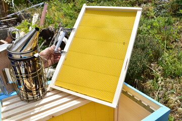 Telaino da nido con foglio cereo. Struttura interna di un alveare per la produzione di miele