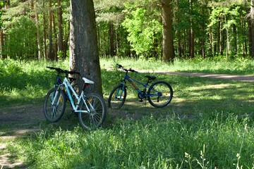 Fototapeta premium bicycle in the park