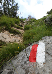 white and red sign in the mountain path