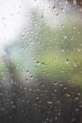 rain drops on window