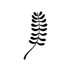ash tropical leaf icon, silhouette style