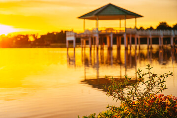 Focused on small tree bush with background of vintage Wooden Pavilion is under construction with light from sunset or evening time at water lake of Bueng See Fai, Phichit Province, Thailand.