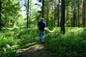 Obraz premium young man walking in forest