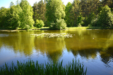 Fototapeta premium lake in the park