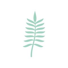 rowan leaf icon, flat style