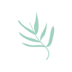 rowan leaf icon, flat style
