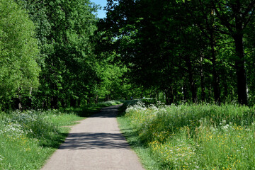 path in the park