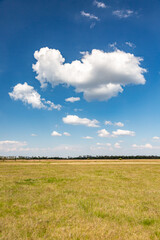 White cumulus clouds in a blue sky over a yellow field and forest on the horizon. Vertical orientation.