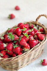 Red berries in a basket