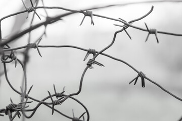 A gloomy black and white view through a barbed metal wire, restriction of freedom and imprisonment in a strict regime zone or military facility.