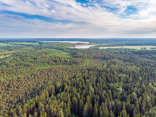 Obraz premium The lakes and forest. National park in Belarus. Vitebsk region. Drone aerial photo