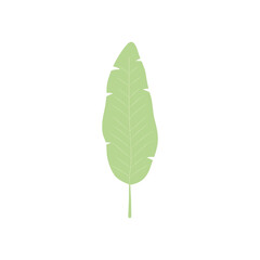 tropical palm leaf icon, flat style