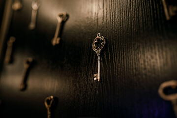 Fototapeta na wymiar old key hanging on a carnation on a wooden cabinet close-up