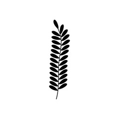 fern frod leaves icon, silhouette style