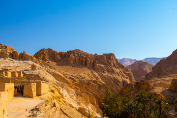 Beautiful oasis in Sahara desert, Tunisia
