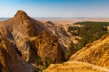 Beautiful oasis in Sahara desert, Tunisia