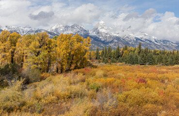Scenic Landscape in Grand teton National Park Wyoming in Autumn