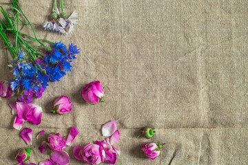 Flowers roses and girls on the background of homespun cloth