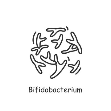 Bifidobacterium Bifidum Icon. Good Probiotic For Human Health Sign.Bacteriology And Gastrointestinal Health Concept.Medicine, Healthcare And Science.Simple Linear Vector Illustration.Editable Stroke