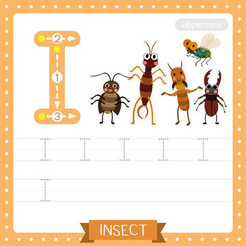 Letter I uppercase tracing practice worksheet. Insects