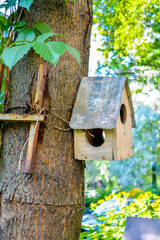 Old empty wooden birdhouse on tree trunk in city. Simple birdhouse