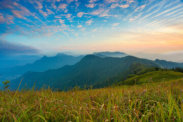 Mountain valley during sunrise. Natural summer landscape