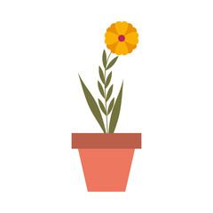 Isolated flower inside pot vector design