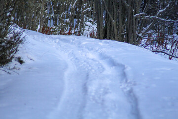snow  road