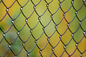 Metal fence pattern with rain drops in curls