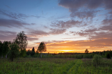 Sunset landscape of summer field under clouds on blue sky