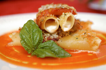 a dish of typical italian pasta called candele from Gragnano area in the Campania region whit tomato  sauce and parmigiano cheese fresh basil and mozzarella cheese